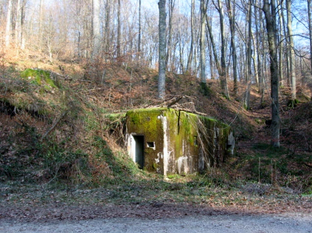 Ligne Maginot - HERRENWALD - ( III - 153° RIF ) - (PC de Quartier) - Vue générale - Christian LENHARD
