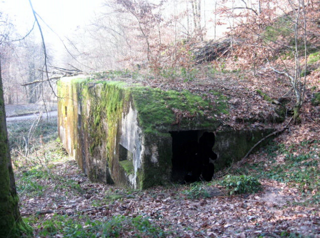 Ligne Maginot - HERRENWALD - ( III - 153° RIF ) - (PC de Quartier) - L'entrée nord - Christian LENHARD