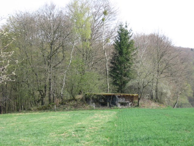 Ligne Maginot - SAUMUEHLE EST - (Blockhaus pour canon) - Vue générale - Christian LENHARD
