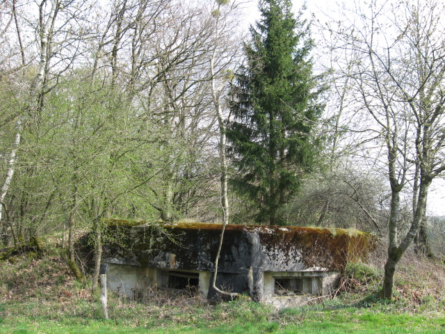 Ligne Maginot - SAUMUEHLE EST - (Blockhaus pour canon) - Façade de tir - Christian LENHARD