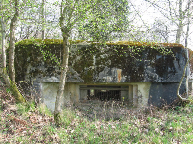 Ligne Maginot - SAUMUEHLE EST - (Blockhaus pour canon) - Créneau pour canon antichar - Christian LENHARD