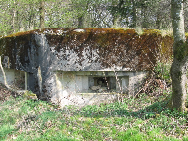 Ligne Maginot - SAUMUEHLE EST - (Blockhaus pour canon) - Créneau pour FM - Christian LENHARD
