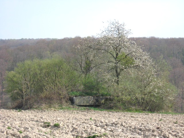 Ligne Maginot - SAUMUEHLE OUEST - (Blockhaus pour arme infanterie) - Vue générale - Christian LENHARD