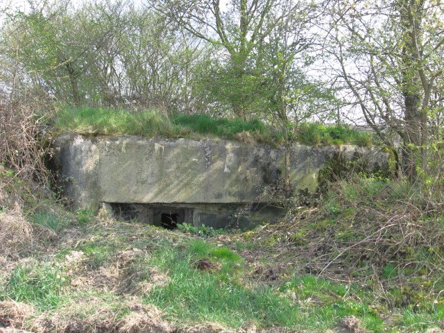 Ligne Maginot - SAUMUEHLE OUEST - (Blockhaus pour arme infanterie) -  - Christian LENHARD