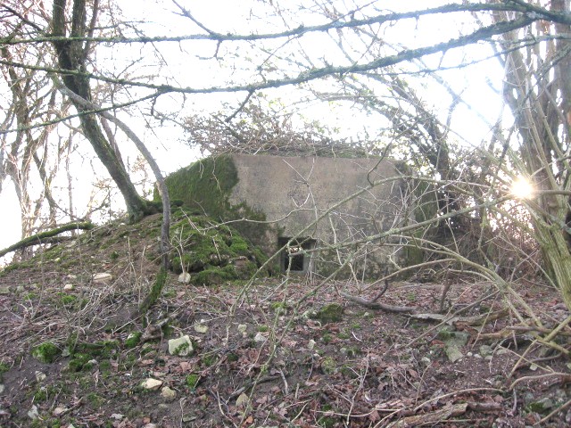 Ligne Maginot - KALKOFEN 7 - (Blockhaus pour arme infanterie) - Vue générale - Christian LENHARD
