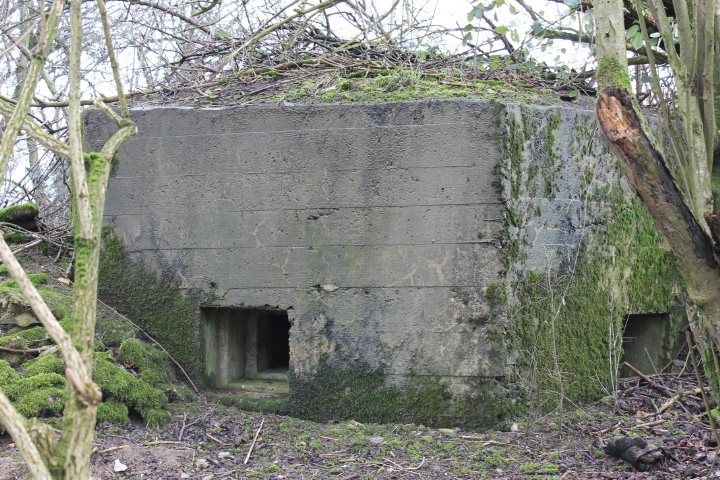 Ligne Maginot - KALKOFEN 7 - (Blockhaus pour arme infanterie) - Façade de tir - Christian LENHARD
