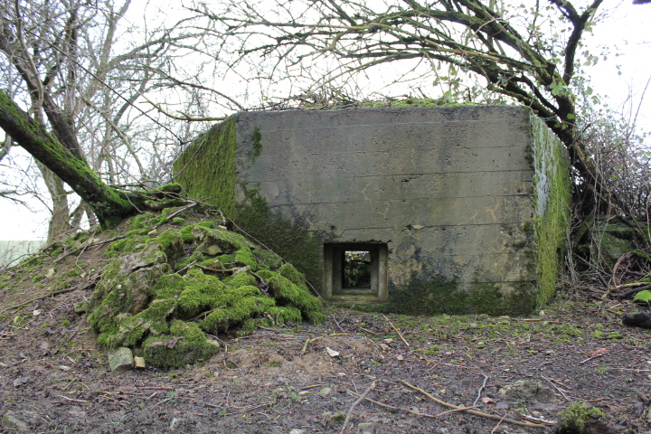 Ligne Maginot - KALKOFEN 7 - (Blockhaus pour arme infanterie) - Façade Est - Christian LENHARD