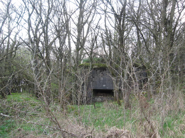 Ligne Maginot - RIMERSBERG 2 - (Blockhaus pour canon) - Vue générale - Christian LENHARD