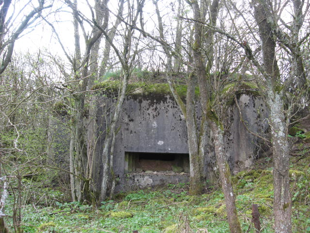 Ligne Maginot - RIMERSBERG 2 - (Blockhaus pour canon) - Vue générale - Christian LENHARD