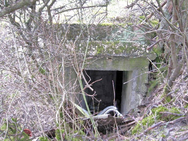 Ligne Maginot - MERRENRIED 2 - (Observatoire d'infanterie) - L'entrée - Christian LENHARD