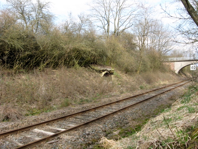 Ligne Maginot - HAMMELSWIESE 4 (Abri) - Lábri - Christian LENHARD