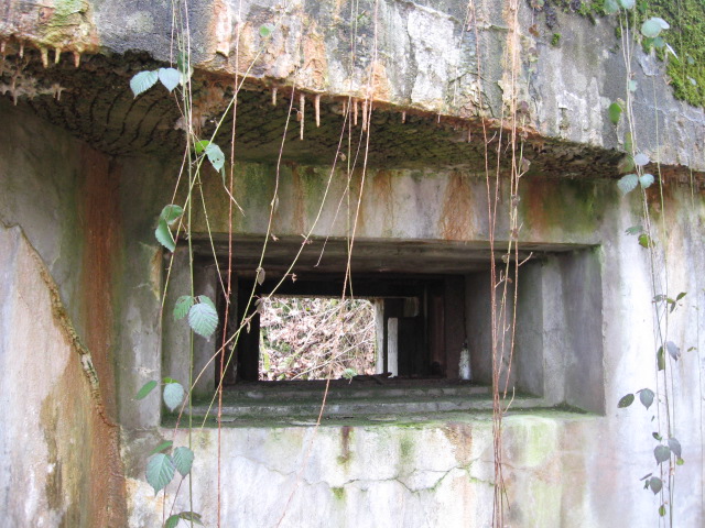 Ligne Maginot - HOLZSCHLAG 3 - (Blockhaus pour canon) - Créneau pour canon - Christian LENHARD