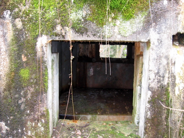 Ligne Maginot - HOLZSCHLAG 3 - (Blockhaus pour canon) - L'entrée du matériel - Christian LENHARD