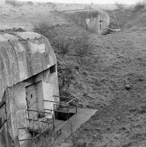 Ligne Maginot - PETERSBERG - X4 - (Abri actif) -  - Inconnu