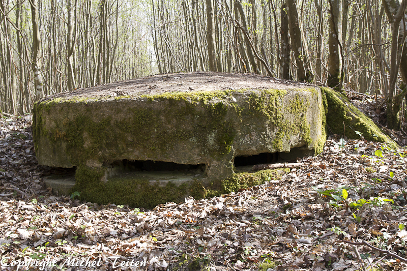 Ligne Maginot - Observatoire UNTERE TRAUSCH -  - Michel Teiten