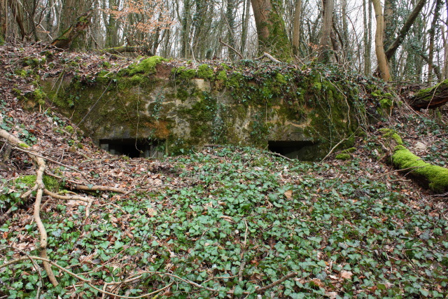Ligne Maginot - 57 - SAINTE ERNELLE - (Blockhaus pour arme infanterie) -  - www.arnaultjl-photo.com