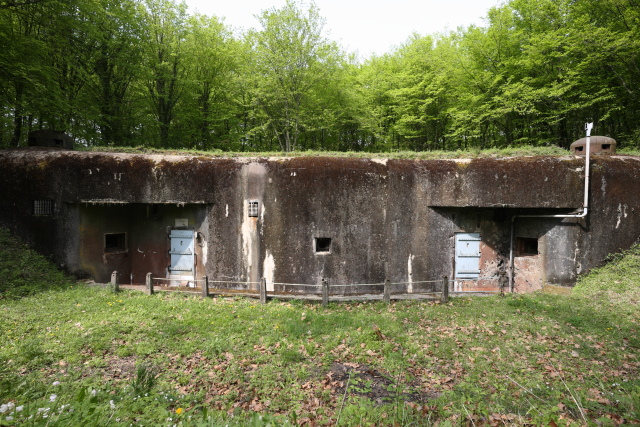 Ligne Maginot - BOIS DE CATTENOM - X14 - (Abri) - Vue générale - www.arnaultjl-photo.com