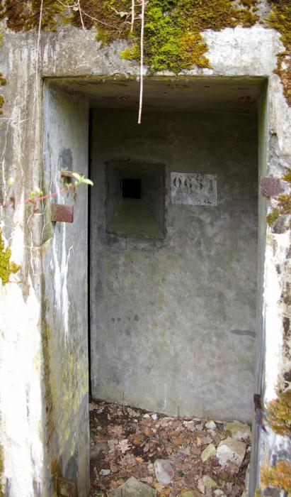 Ligne Maginot - PA DU CARREFOUR 243-3 - (Blockhaus pour arme infanterie) - l'Entrée - D.Froehly