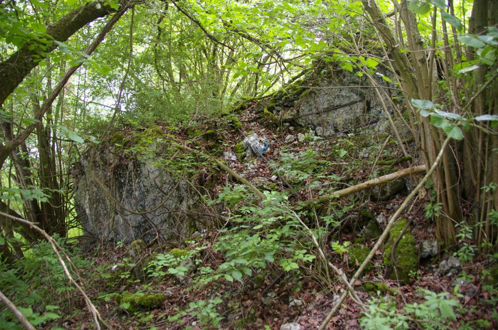 Ligne Maginot - 13B/1 - AMEISENGRUND - (Casemate d'infanterie - Double) - Abris détruit - D. Froehly