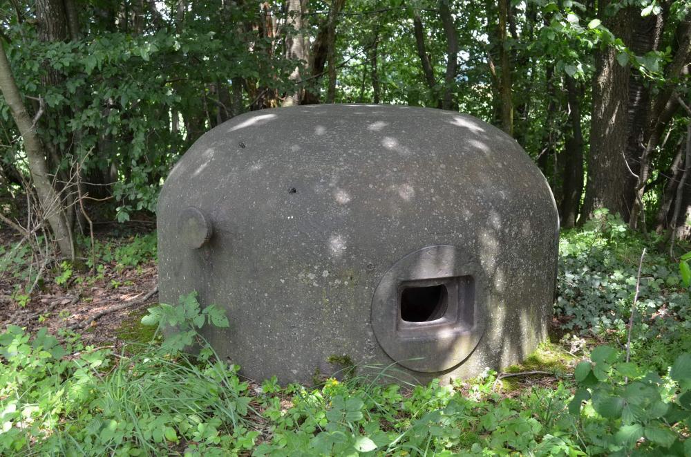 Ligne Maginot - Blockhaus STG 105 - Breitenhag - Cloche GFM type B - D. Froehly