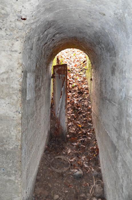 Ligne Maginot - PA DU CARREFOUR 252-3 - (Blockhaus pour arme infanterie) - Vue vers l’extérieur et la porte d'entrée. - D. Froehly