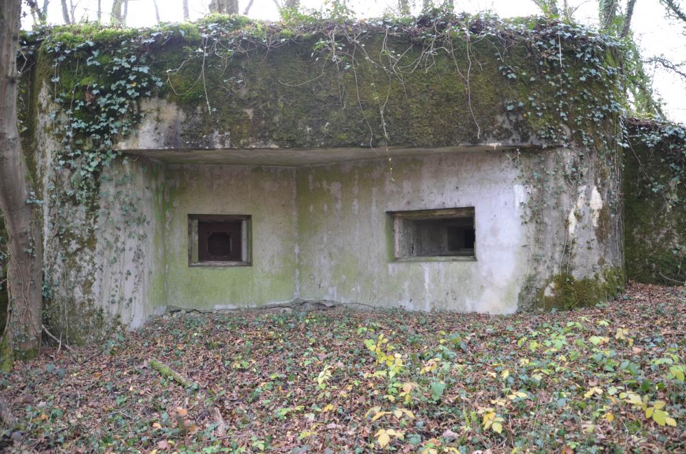 Ligne Maginot - PA DU CARREFOUR 252-4 - (Blockhaus pour arme infanterie) - Vue sur les créneaux de tir avec la visière. - D. Froehly