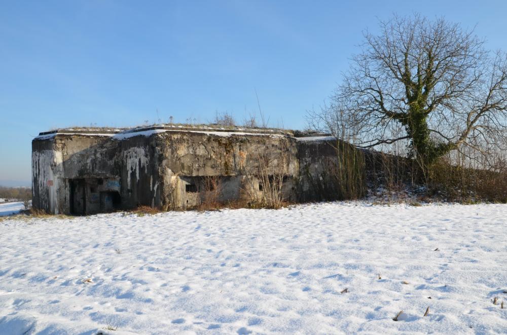 Ligne Maginot - 85 - HASELBERG - (Casemate d'infanterie - double) - Vue générale coté sud-ouest - D. Froehly