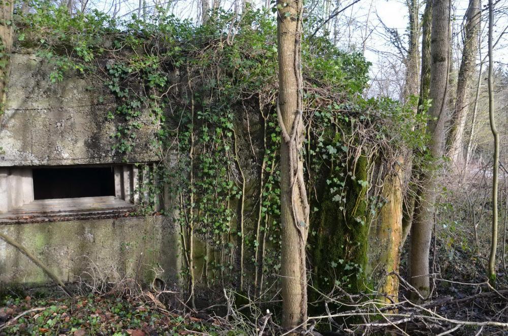 Ligne Maginot - HUTTINGUE OUEST 2 - (Blockhaus pour canon) - Créneau du canon - D. Froehly