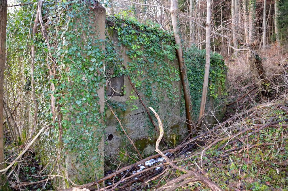 Ligne Maginot - HUTTINGUE OUEST 2 - (Blockhaus pour canon) - Vue sur la façade Est avec son créneau FM et après les arbres en V l'entrée des hommes. - D. Froehly