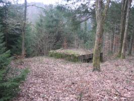 Ligne Maginot - SCHWANGERBACH 1 - (Blockhaus pour canon) - 
