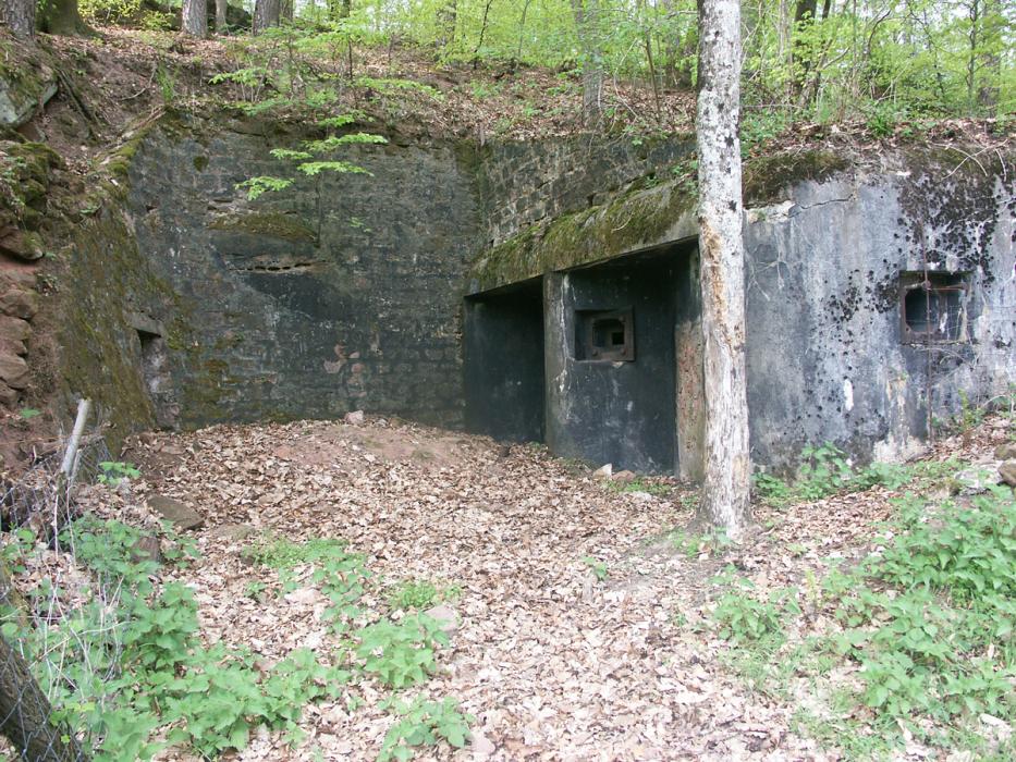 Ligne Maginot - ERLENMOOS Ouest (Avant Poste) (Blockhaus pour canon) - Vue arrière - Pascal LAMBERT