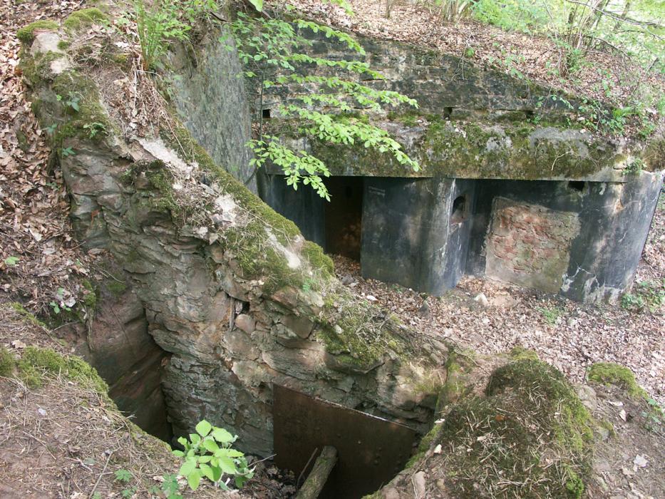 Ligne Maginot - ERLENMOOS Ouest (Avant Poste) (Blockhaus pour canon) - Noter l'étai du mur de soutenement. - Pascal LAMBERT