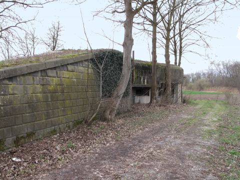 Ligne Maginot - 27/3 - FRIESENHEIM - (Casemate d'infanterie - Double) -  - AALMA - www.lignemaginot.com
