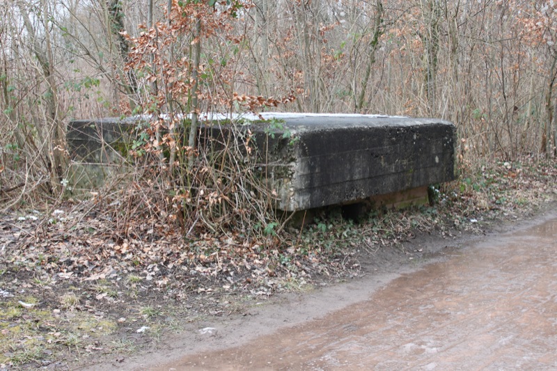 Ligne Maginot - GROSSBELTZWOERTH OUEST - (Blockhaus pour arme infanterie) -  - Les Gardiens du Rhin