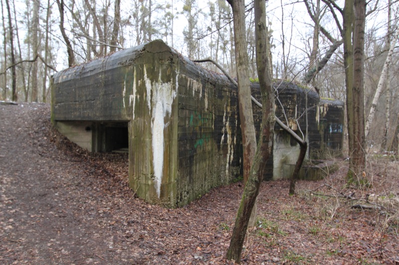 Ligne Maginot - 34 - THALERKOPF - (Casemate d'infanterie - Simple) - Vue générale - Les Gardiens du Rhin