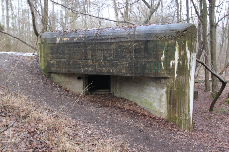 Ligne Maginot - 34 - THALERKOPF - (Casemate d'infanterie - Simple) - L'embrasure sud - Les Gardiens du Rhin