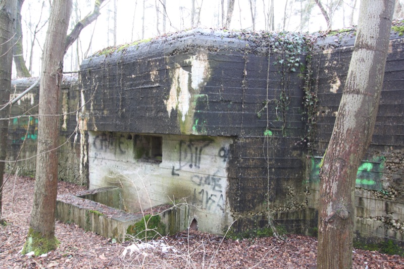 Ligne Maginot - 34 - THALERKOPF - (Casemate d'infanterie - Simple) - L'embrasure frontale - Les Gardiens du Rhin