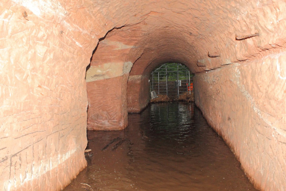 Ligne Maginot - BAERENTHAL (SF Vosges) (PC de Secteur) -  - Antoine SCHOEN