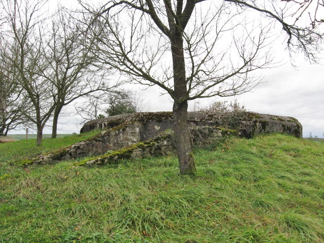 Ligne Maginot - LEYER 2 - (Blockhaus pour arme infanterie) -  - Christian LENHARD