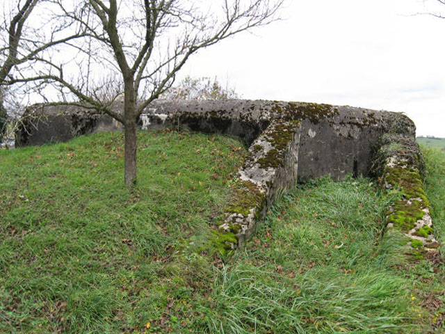 Ligne Maginot - LEYER 2 - (Blockhaus pour arme infanterie) - Le chemin d'accès à l'entrée - Christian LENHARD