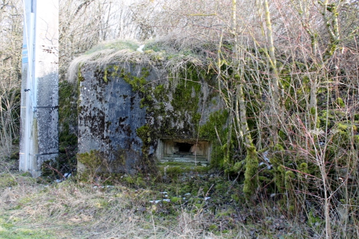 Ligne Maginot - FIRST 1 - (Blockhaus pour arme infanterie) - Façade de tir - Christian LENHARD