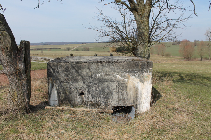 Ligne Maginot - SINGLING 3 - (Blockhaus pour arme infanterie) - L'entrée - Christian LENHARD