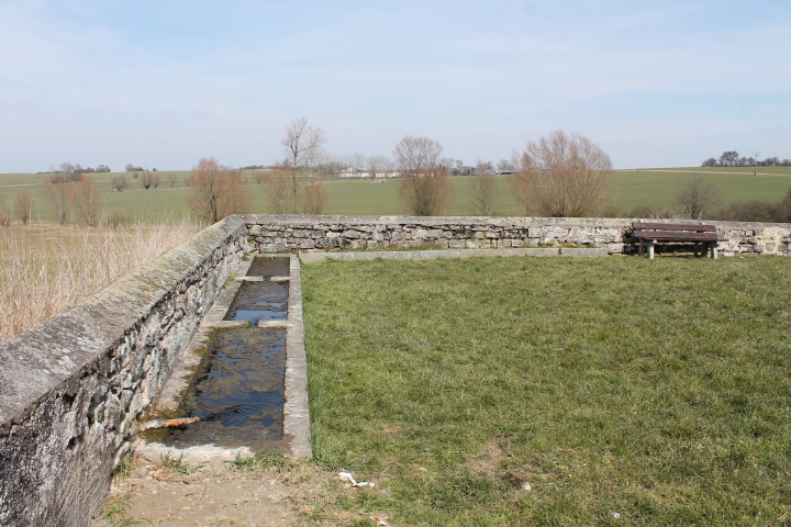 Ligne Maginot - SINGLING 3 - (Blockhaus pour arme infanterie) - Les alentours - Christian LENHARD