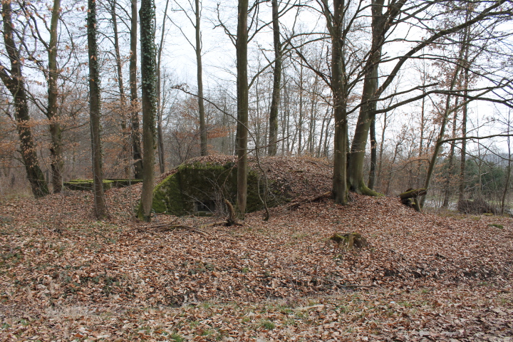 Ligne Maginot - SCHLOSSWALD 1 - (Blockhaus pour arme infanterie) - Vue générale - Christian LENHARD