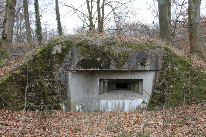Ligne Maginot - SCHLOSSWALD 1 - (Blockhaus pour arme infanterie) - Créneau mitrailleuse - Christian LENHARD