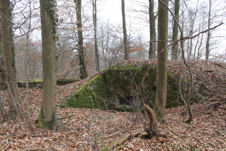 Ligne Maginot - SCHLOSSWALD 1 - (Blockhaus pour arme infanterie) - Façade de tir FM - Christian LENHARD