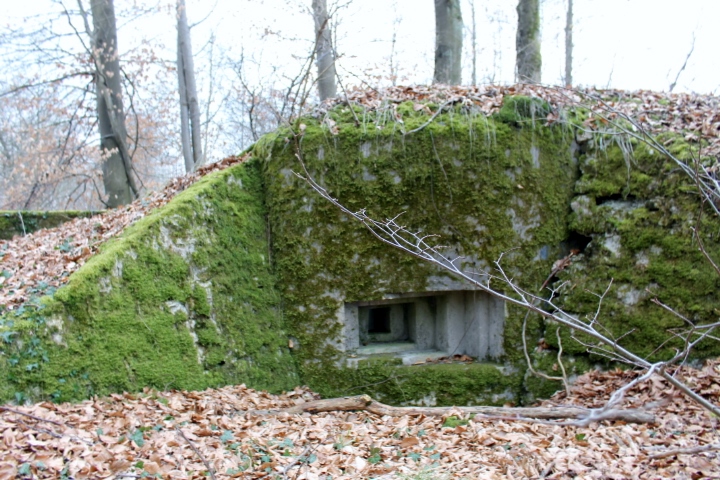 Ligne Maginot - SCHLOSSWALD 1 - (Blockhaus pour arme infanterie) - Créneau FM - Christian LENHARD