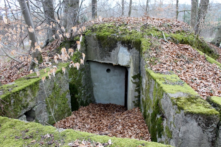 Ligne Maginot - SCHLOSSWALD 1 - (Blockhaus pour arme infanterie) - Cour d'entrée du blockhaus - Christian LENHARD