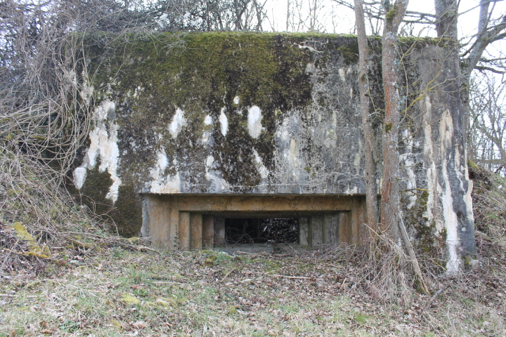 Ligne Maginot - FUERST 1 - (Blockhaus pour canon) - Créneau du canon - Christian LENHARD