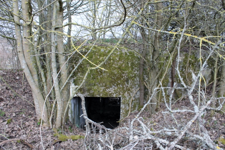 Ligne Maginot - FUERST 1 - (Blockhaus pour canon) - Façade arriere - Christian LENHARD